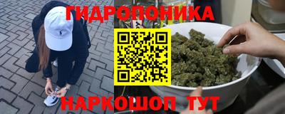 СК Лесосибирск
