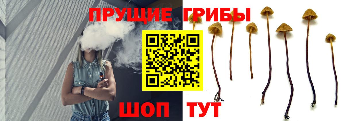 Грязи  Псилоцибиновые грибы Magic Shrooms  как найти   Галлюциногенные грибы Cubensis  Вход с VPN 
